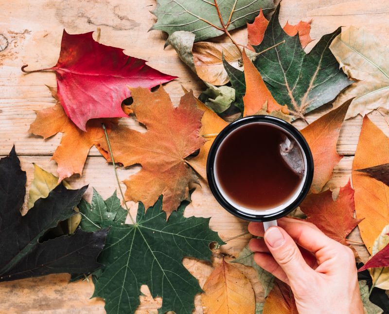 Der Herbst ist die Zeit, das eigene Immunsystem zu stärken, um es auf den Winter vorzubereiten