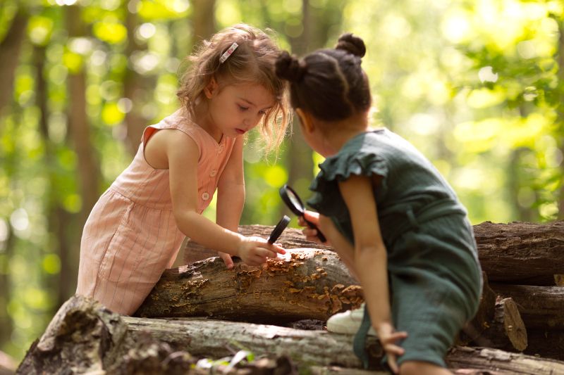 Was der Wald alles zu bieten hat: Naturideen für Kinder, auf die man selbst nicht kommt